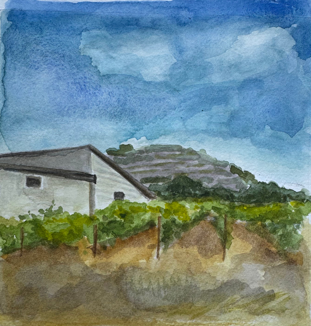 Hermitage Vineyards