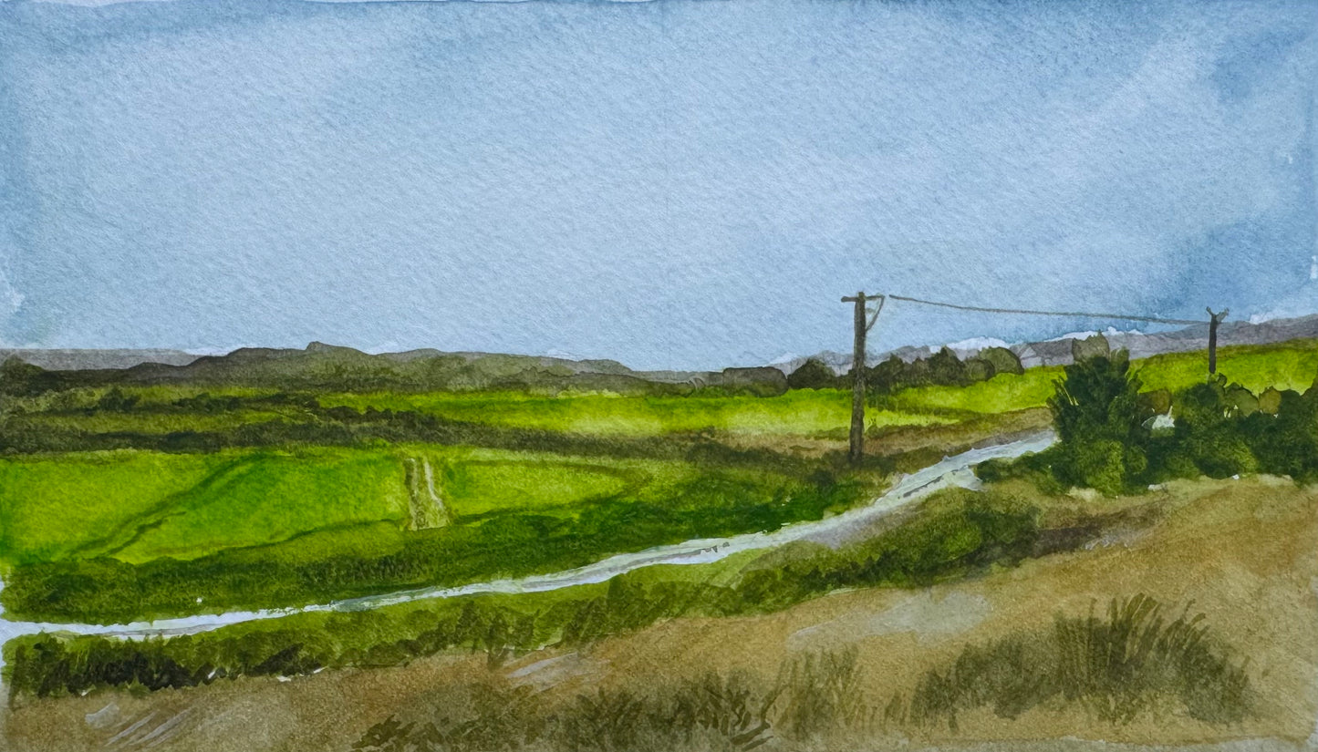 Landscape Along the Way