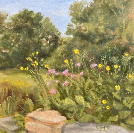 Wildflowers at Mill Creek